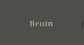 Bruin